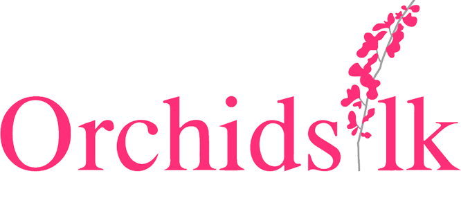 Tuyetlan Orchid Tailor – Fine Bespoke Craftsmanship in Ho Chi Minh City